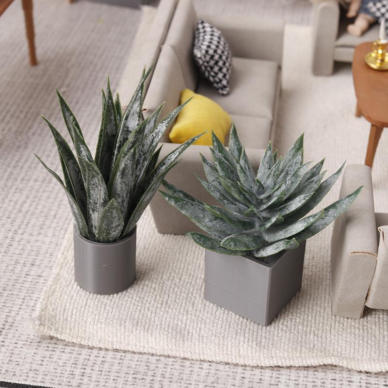 Miniaturowa roślina Aloe Vera  – Aloe Vera Pot recenzja i cena