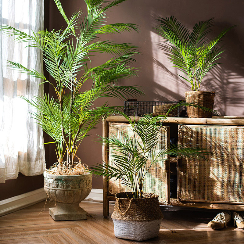 Sztuczna palma o długości 125  – Dracaena Marginata recenzja i cena
