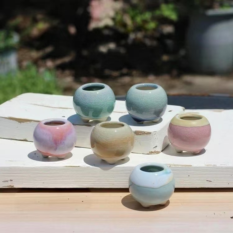 6 szt. Mini Doniczek Sukulenty – Echeveria Succulent recenzja i cena